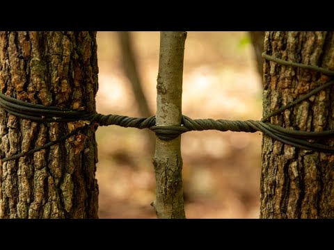 Видео: Испанская ловушка для копья с лебедкой