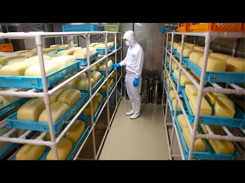 Видео: Процесс изготовления сыра. Японская сыроварня, которая производит сыр уже 45 лет.