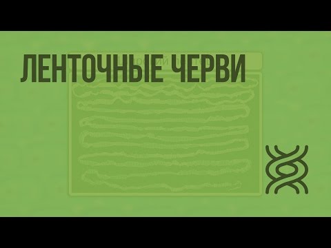 Видео: Ленточные черви. Видеоурок по биологии 7 класс