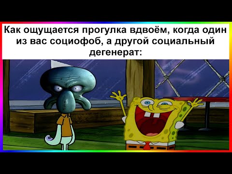 Видео: тик ток гуляет | подборка мемов
