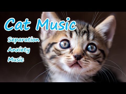 Видео: 3 ЧАСА Глубокого сна, исцеляющая музыка для кошек🎵🐱Музыка против разлуки и тревоги🎵Кошачья музыка💖