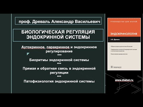 Видео: Лекция №2. Биологическая регуляция эндокринной системы