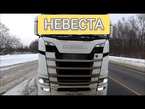 Видео: Комплектация СКАНИЯ S440 "НЕВЕСТА' неплохой фарш! Доставил медикаменты в срок!