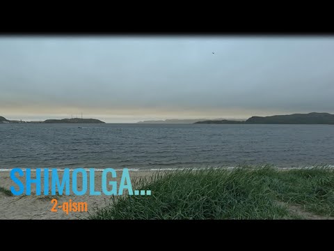 Видео: Шимолга    2 кисм