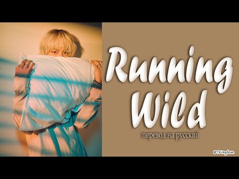 Видео: Jin Running Wild [ПЕРЕВОД НА РУССКИЙ Color Coded Lyrics]