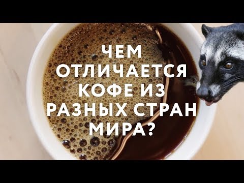 Видео: Чем отличается кофе из разных стран мира?