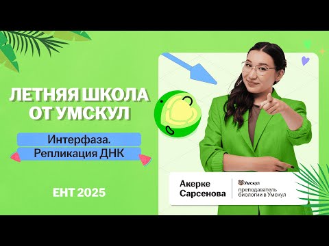 Видео: Интерфаза. Репликация ДНК.