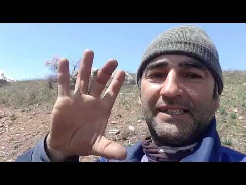 Видео: 29 апреля 2025 г.Сайругашт дар минтакаи зебоманзараи Н Сангвор Собик тавилдара