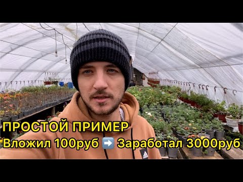 Видео: Рассказываю про главную схему заработка на растениях