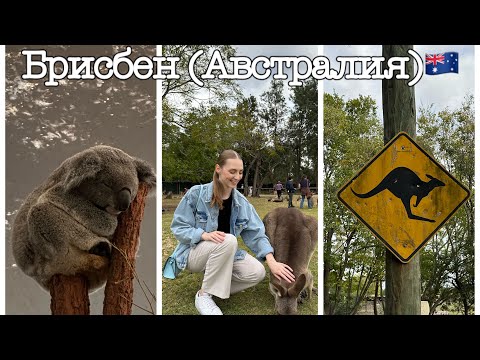 Видео: БРИСБЕН (Австралия)\Стюардесса Эмирейтс\ Командировка в городе Брисбен (Австралия🇦🇺).