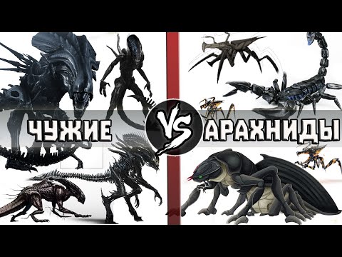 Видео: Улей Чужих vs Колония Арахнидов