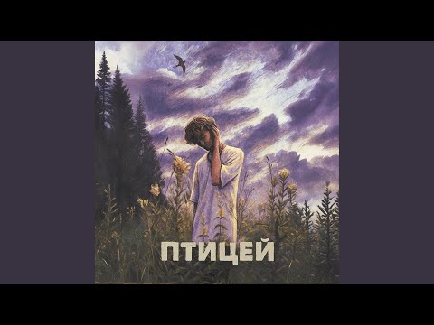Видео: Птицей