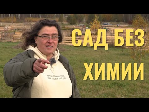 Видео: Размышления на тему: "Возможен ли Сад без химии?"