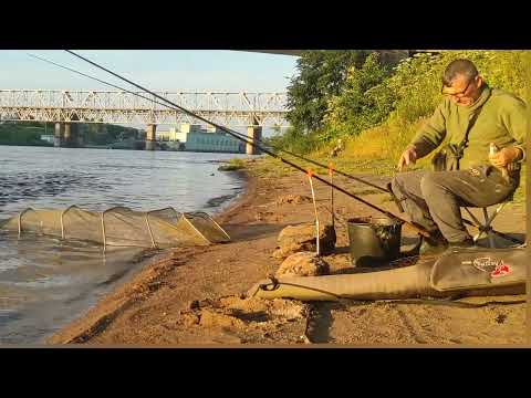 Видео: Говорят на Волхове рыбы нет ,проверил Сырть , чехонь,лещ,синец .Фидер на реке