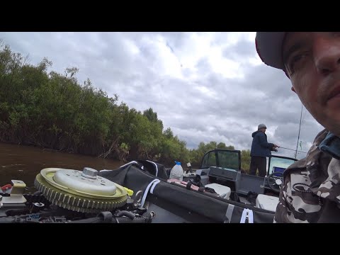 Видео: МОТОР ЯМЕР 60 ( HIDEA ) ЗАГЛОХ. 1 часть