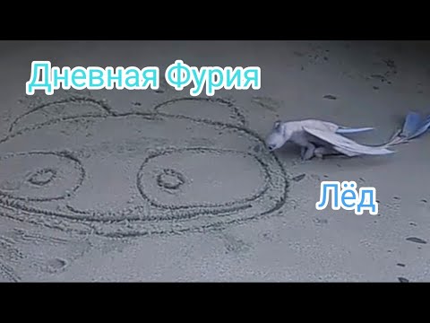 Видео: Дневная Фурия {Лёд}(заказ)