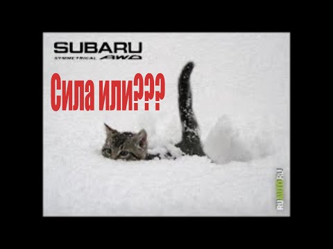 Видео: Можно ли ездить на Субару Импреза 4WD зимой на летней резине?