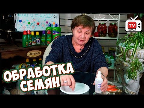 Видео: Как увеличить всхожесть семян? Перекись водорода. Хитсад ТВ