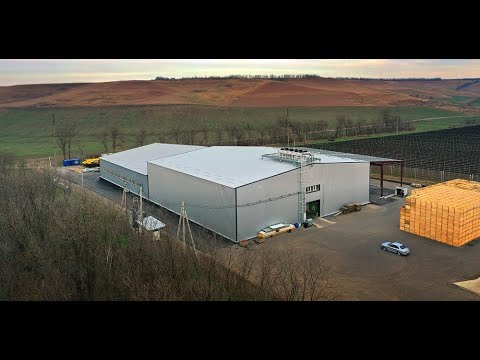 Видео: Комплекс сортировки и хранения яблок на 2200 тонн