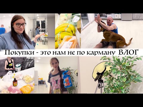 Видео: Диане понравилась идея 🔥 Едем в Ленту за покупками 🛒 Игры с собакой дома  🐕 Влог