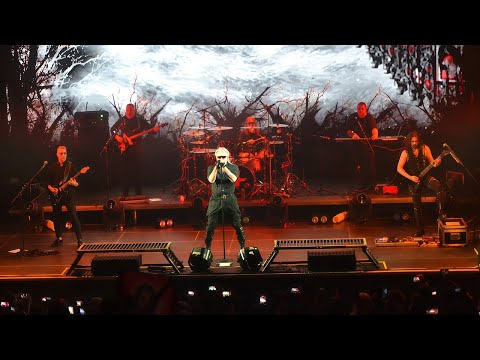 Видео: Брянск, Дворец единоборств им. А.Осипенко (15.10.2025)