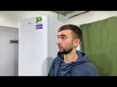 Видео: Дешёвый холодильник Beko (беко или бяка?). Стоит ли покупать?