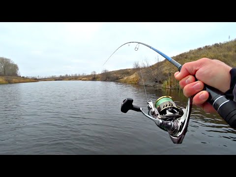 Видео: ОТ ТАКИХ ПОКЛЕВОК РУКИ ТРЯСУТСЯ. ЗЛЫЕ ЩУКИ ГРЫЗУТ РУКИ В КРОВЬ. Рыбалка на спиннинг осенью