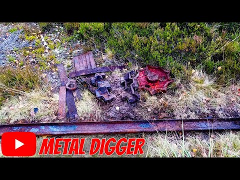 Видео: Поиск по следам старых лесозаготовок