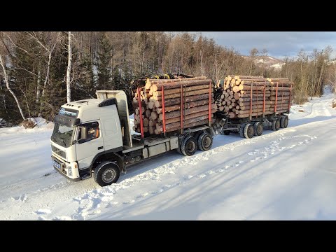 Видео: VOLVO лесовоз. высокая гора🗻