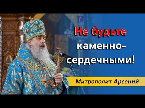 Видео: На молебнах не стоят, а плачут и вымаливают: митр. Арсений о каменносердечии и холодности 10.8.23 г.