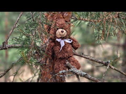 Видео: НА ПУСТЫНСКИЕ ОЗЕРА