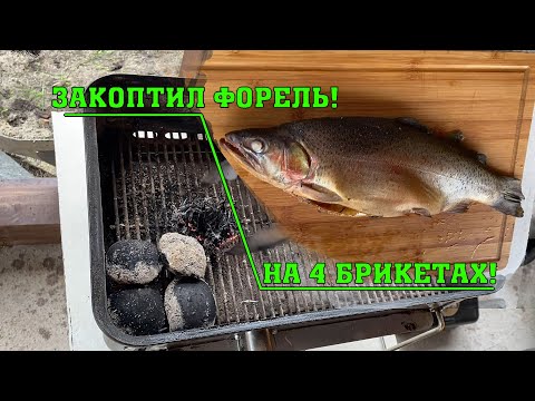 Видео: Закоптил форель на четырех брикетах! Weber Go-Anywhere.