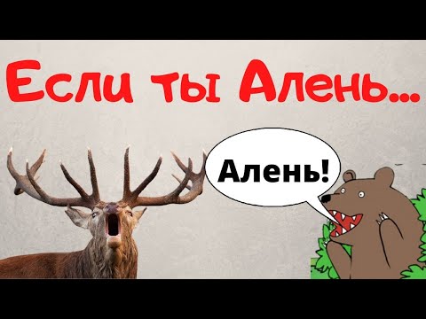 Видео: Что делать если ты АЛЕНЬ