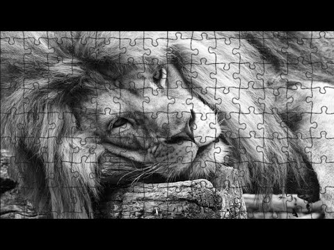 Видео: ОН ОШАРАШЕННЫЙ ОЧНУЛСЯ ОТ МАГИЧЕСКОЙ ОМОРОЧКИ И ПРОИЗНЁС!!! / PROTARO 1233 🩷