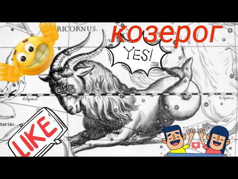 Видео: Козероги- возбудители !мира