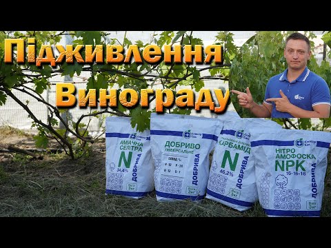 Видео: Підживлення винограду мінеральними добривами під корінь і по листу