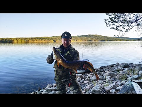 Видео: Рыбалка В СЕВЕРНОЙ КАРЕЛИИ 2019