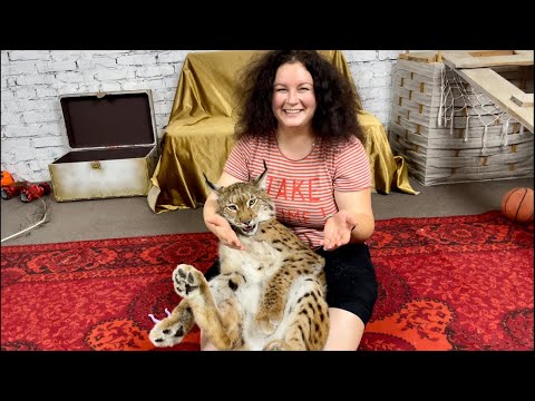 Видео: Рысь Марс в прямом эфире!