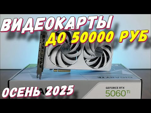 Видео: ВИДЕОКАРТЫ ДО 50000 РУБ 2025