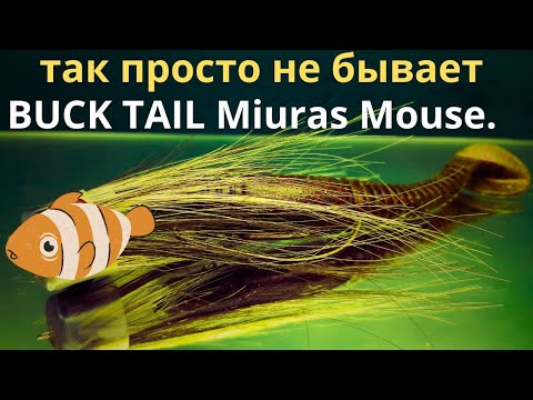 Видео: Miuras Mouse amazing technology БАКТЕЙЛ для начинаюих так и самых продвинутых