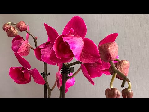 Видео: Полчаса релакса. Замедляемся , выдыхаем.