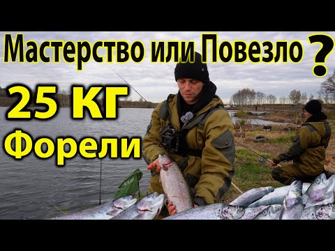 Видео: Попали на раздачу Форели эта снасть ловит 1000%%% #форелеваярыбалка #форель #troutfishing
