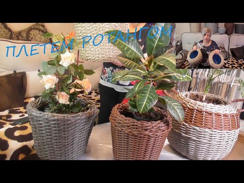 Видео: ПЛЕТУ КАШПО РОТАНГОМ