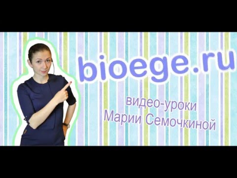 Видео: Задачи по генетике: Моногибридное скрещивание