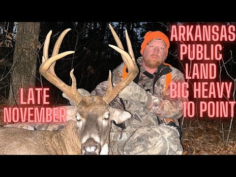 Видео: Общественная земля 10 Point - Поздняя гонка в Арканзасе