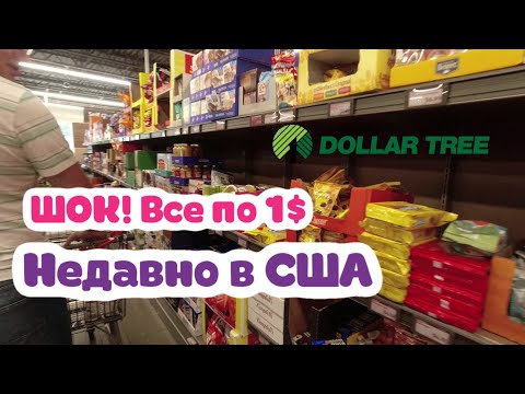 Видео: Осваиваем магазины. Недавно в США