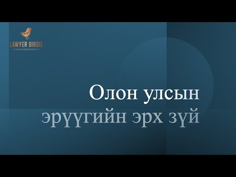 Видео: Олон улсын эрүүгийн эрх зүй / International criminal law