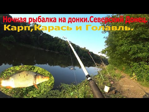 Видео: Ночная рыбалка на донки.Северский Донец.Карп,Карась и Голавль.