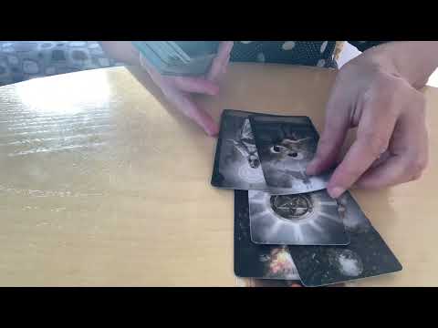 Видео: КОРОЛИ ♥️♣️♦️♠️-НОЯБРЬ .