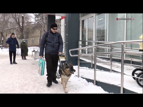 Видео: Собака-поводырь помогает незрячему челябинцу